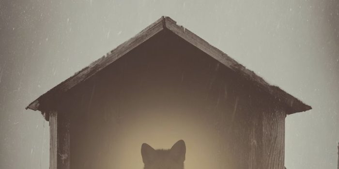 ChatGPT_AI提示词_一只聪明的狐狸巢穴_chatgpt会员版缩略图