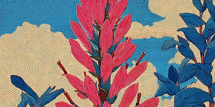 AI提示词_一根生机勃勃的罗贝利亚花朵_如何购买gpt会员便宜点缩略图