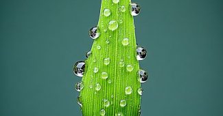 AI提示词_一个小露珠透镜_chatgpt官网中文版缩略图