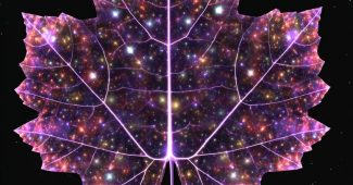 AI提示词_一片大胆的藤叶_国内如何开通gpt会员缩略图