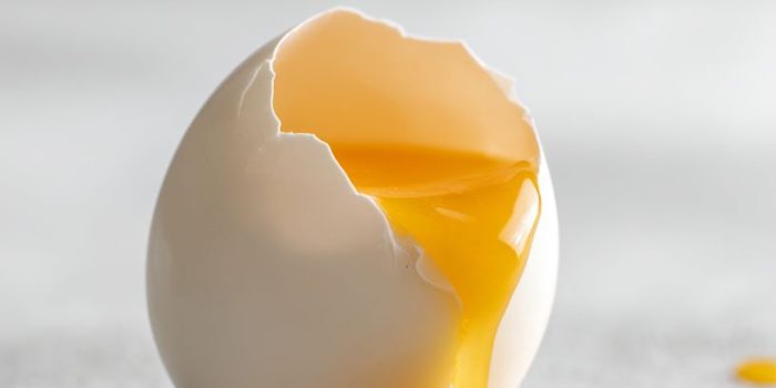 ChatGPT提示词_柔软的水煮蛋黄轻轻流出，简洁的背景与现代摄影风格相结合_chatgpt plus – 1 month free trial缩略图