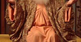 ChatGPT_AI提示词_一位穿着袍子的智者_chatgpt会员费用缩略图