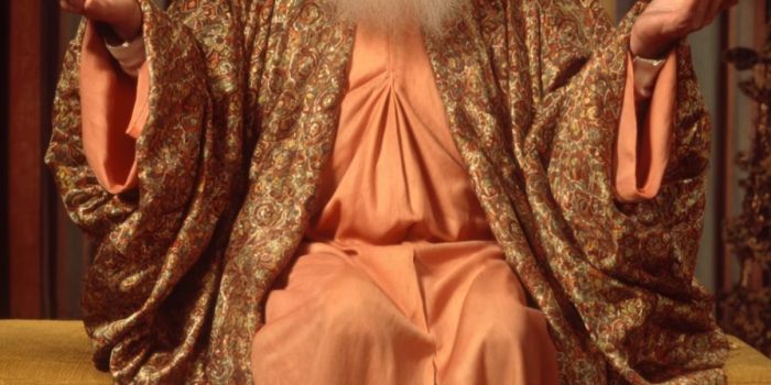 ChatGPT_AI提示词_一位穿着袍子的智者_chatgpt会员费用缩略图