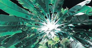 ChatGPT_AI提示词_一棵郁郁葱葱的热带棕榈树_chatgpt会员版缩略图