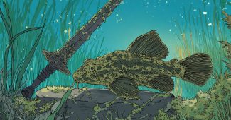 86ee762f019c72cfe8a661f6dadf8d93