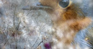 8739ca0b7ddcf22a55f01e7f84861faa