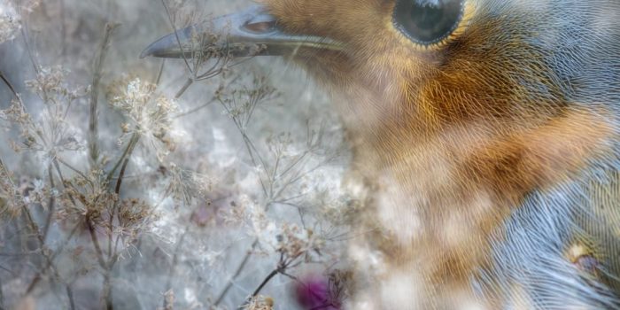 8739ca0b7ddcf22a55f01e7f84861faa