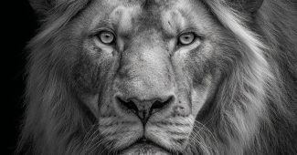 89f261d9ff7b9fe4c02e5c78527e0712