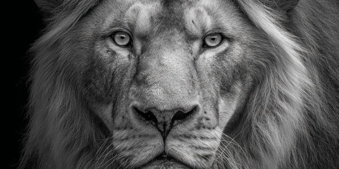 89f261d9ff7b9fe4c02e5c78527e0712