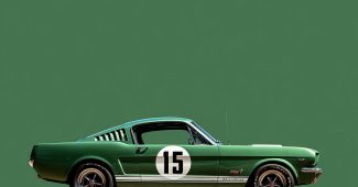 8c321e8cc67aa8d310c81ba1ceefa965