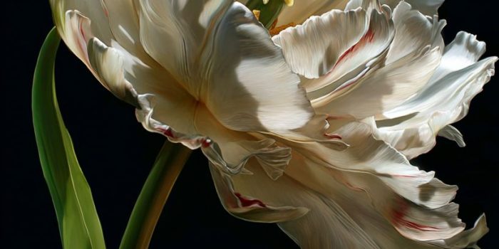 8e441979a5fe87582509a4c5efda0e6e