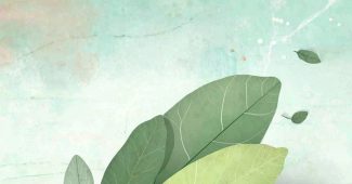 AI提示词_一片新鲜的月桂叶_chatgpt会员有什么用缩略图