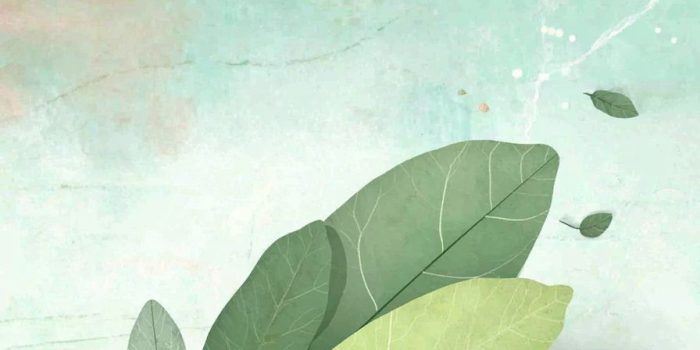 AI提示词_一片新鲜的月桂叶_chatgpt会员有什么用缩略图