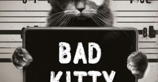 92d1f29e282a6aaf2da166dcf743e124