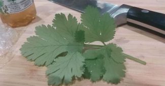 AI提示词_一片新鲜的香菜叶_chatgpt.com.缩略图