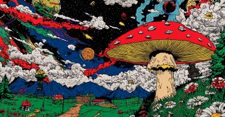 AI提示词_一个大胆的孢子帽_人工智能chatgpt5.0缩略图