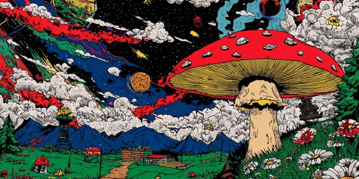 AI提示词_一个大胆的孢子帽_人工智能chatgpt5.0缩略图