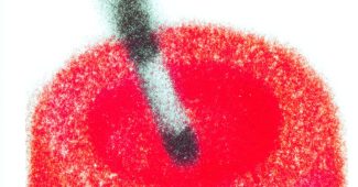 ChatGPT提示词_白色背景下的橙色烟灰缸和未点燃的香烟_gpt会员缩略图