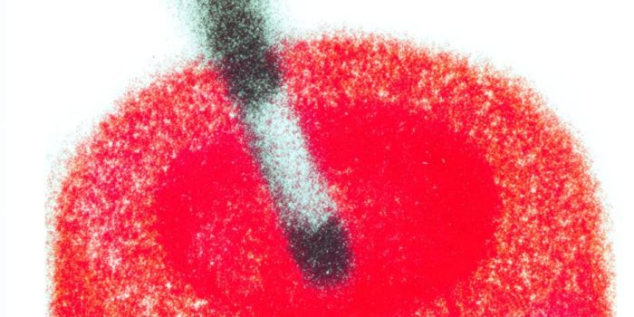 ChatGPT提示词_白色背景下的橙色烟灰缸和未点燃的香烟_gpt会员缩略图