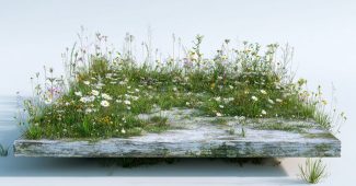 ChatGPT提示词_白色背景下的草地和野花覆盖的平台的低角度电影拍摄_chatgpt5.0有出吗缩略图