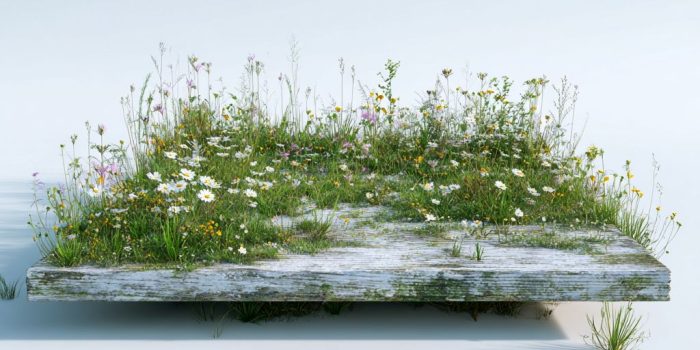 ChatGPT提示词_白色背景下的草地和野花覆盖的平台的低角度电影拍摄_chatgpt5.0有出吗缩略图