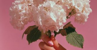 AI提示词_一位年轻女性用优雅的手拿着白色绣球花的精致摄影_chatgpt5.0网址缩略图