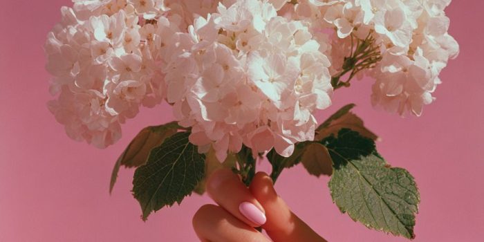 AI提示词_一位年轻女性用优雅的手拿着白色绣球花的精致摄影_chatgpt5.0网址缩略图