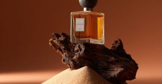 ChatGPT_AI提示词_高端香水瓶摄影展示了瓶子与自然元素的和谐_chatgpt会员多少钱一次缩略图