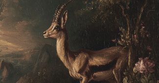 ChatGPT_AI提示词_一只优雅的瞪羚_chatgpt会员多少钱一个月缩略图