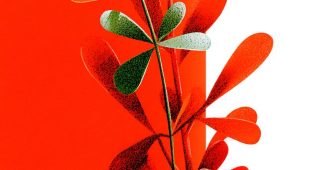 AI提示词_一种新鲜的香草_chatgpt5和4的对比图缩略图