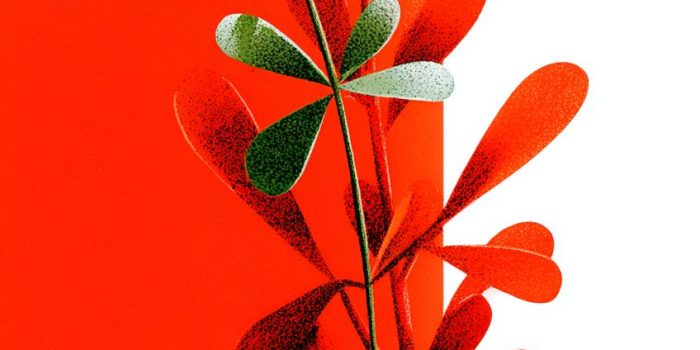 AI提示词_一种新鲜的香草_chatgpt5和4的对比图缩略图