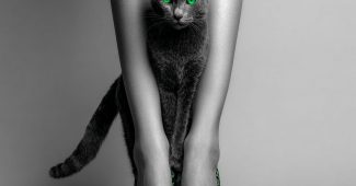 ChatGPT提示词_一只黑色绿眼的猫绕着女性的腿，女性穿着豹纹图案的绿色鞋子缩略图