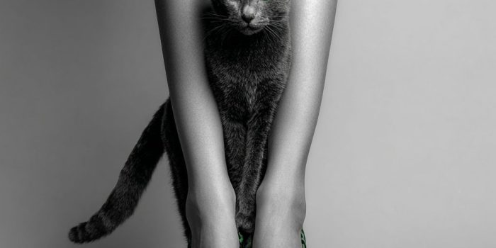 ChatGPT提示词_一只黑色绿眼的猫绕着女性的腿，女性穿着豹纹图案的绿色鞋子缩略图