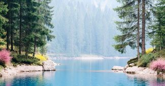 ChatGPT_AI提示词_一个宁静的阿尔卑斯湖_chatgpt官网中文版4.0缩略图