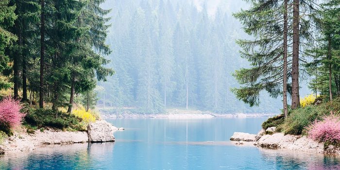 ChatGPT_AI提示词_一个宁静的阿尔卑斯湖_chatgpt官网中文版4.0缩略图