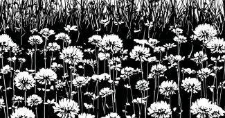 AI提示词_一片野生三叶草的田野_chatgpt网页在线版缩略图