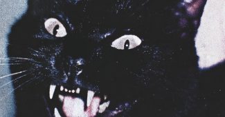 ab3d01f7df14b9bc26b9032daf19ff63