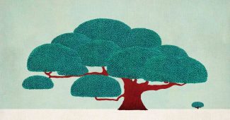 AI提示词_一棵古老的紫杉树_chatgpt50官网中文版缩略图