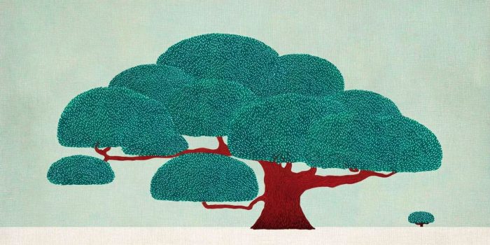 AI提示词_一棵古老的紫杉树_chatgpt50官网中文版缩略图