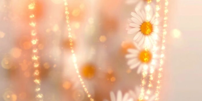 ChatGPT_AI提示词_一串快乐的雏菊_chatgpt在线网页版3.5缩略图