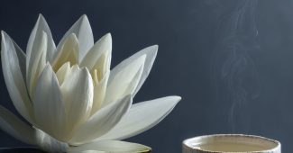 aea937558c2725af2d5c6d3f93a61584