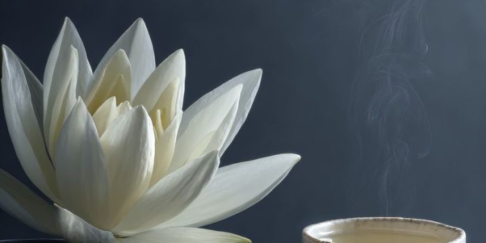 aea937558c2725af2d5c6d3f93a61584