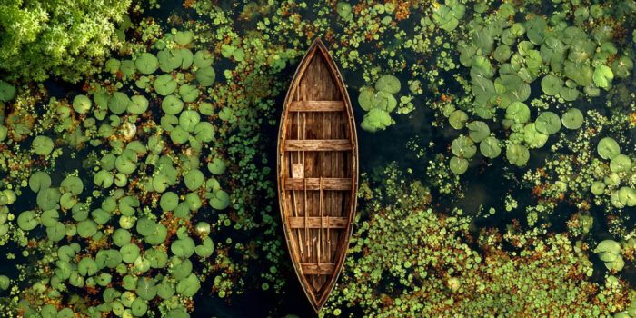 ChatGPT_AI提示词_一艘木船漂浮在睡莲和莲叶的池塘中_人工智能chatgpt5缩略图