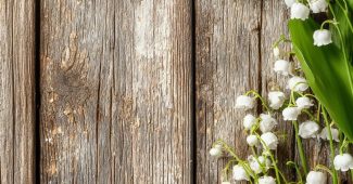 b06cd5f3d448b0797c5a9423d0b65dc7