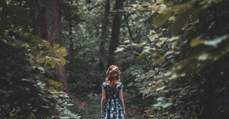 b318ecefe8f29cfc0877011372c856fd