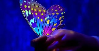 ChatGPT_AI提示词_一只精致的蝴蝶翅膀_chatgpt会员多少钱一个月缩略图