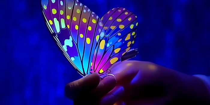 ChatGPT_AI提示词_一只精致的蝴蝶翅膀_chatgpt会员多少钱一个月缩略图