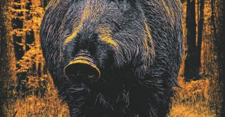 ChatGPT_AI提示词_森林中的野猪_gpt会员缩略图