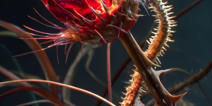 b5bca85fe26f678dae809a4378045bcc