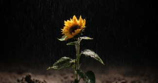 b9e8748608ccae2f4046c2c9566e8b5d